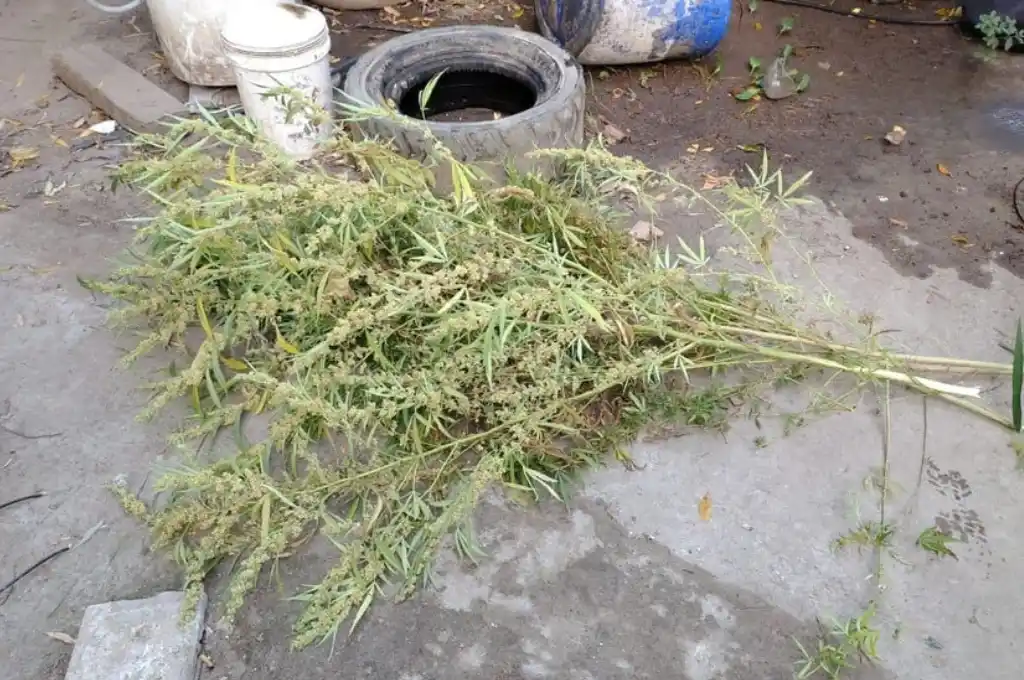 El operativo fue en calle Juan Díaz de Solís al 5700