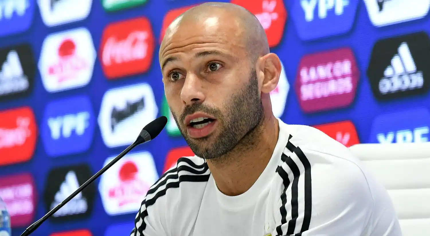 ¿Viene Mascherano a jugar a Estudiantes de La Plata?