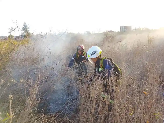 Continúa el fuego al  sur de nuestra provincia