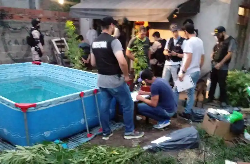Cayó un hombre que tenía un "jardín de marihuana" en su casa