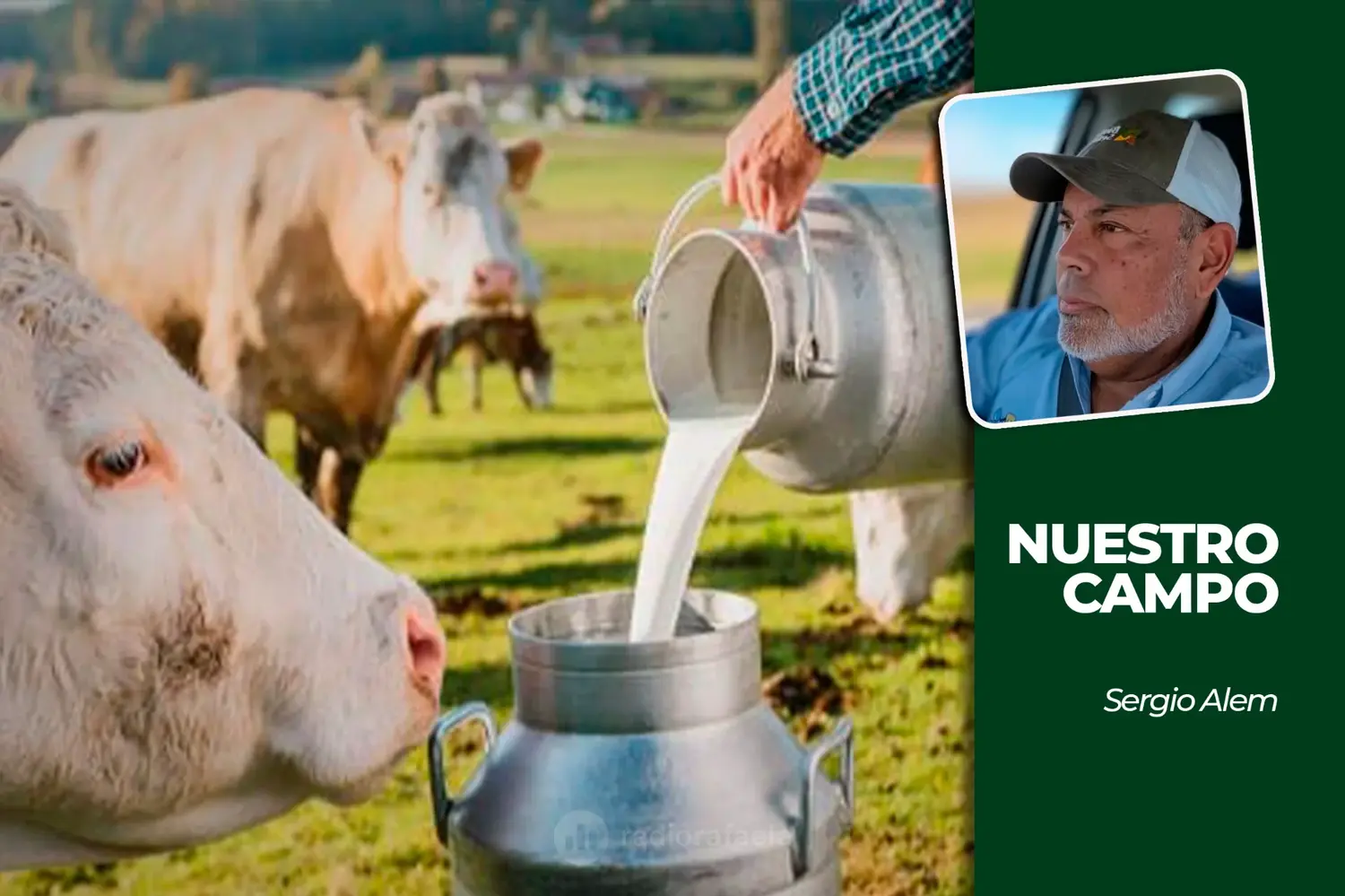 ¿Cuánta leche consumimos realmente? La cifra incluye quesos, yogures y otros lácteos