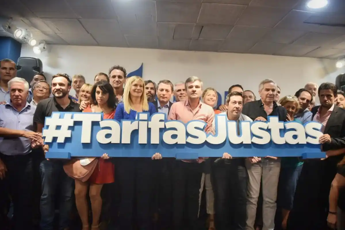 Intendentes peronistas y legisladores firmaron amparo contra el aumento de la tarifa de luz