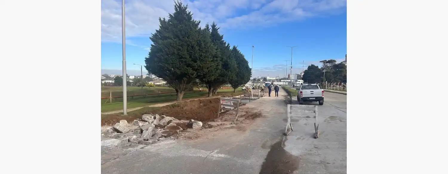 Los trabajos forman parte de un plan integral de recuperación de la red vial interna del puerto.