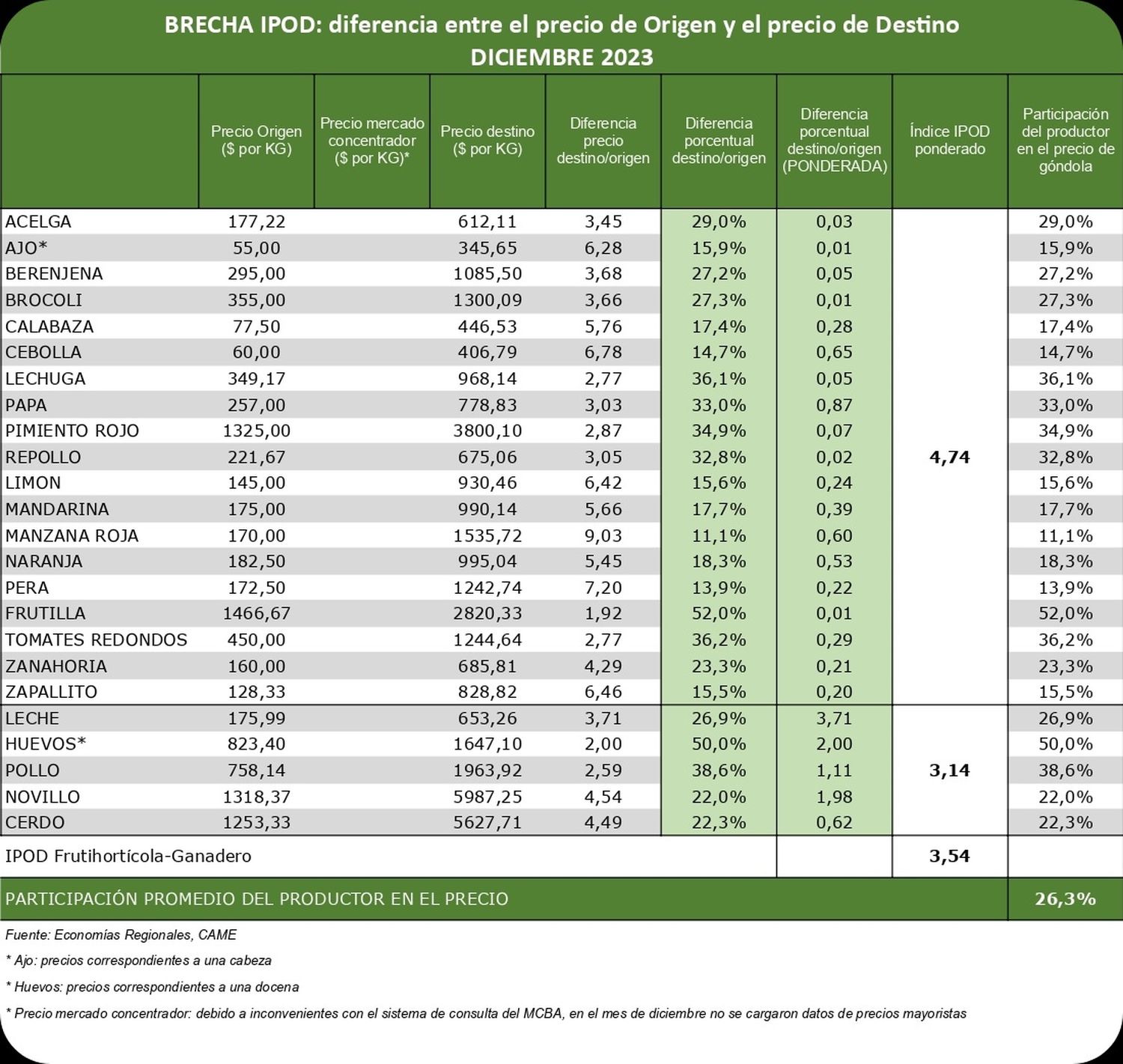 Came informe - 3