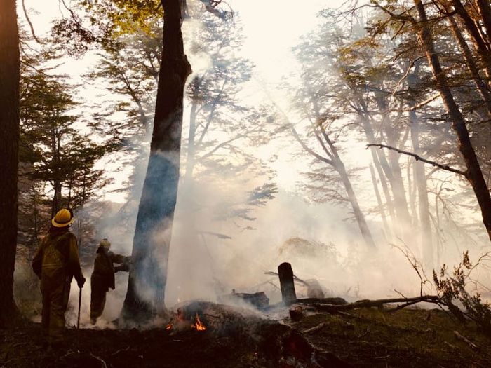 Incendios en la Patagpnia