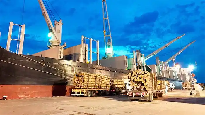 Baja en retenciones para exportaciones beneficia a 150 empresas entrerrianas