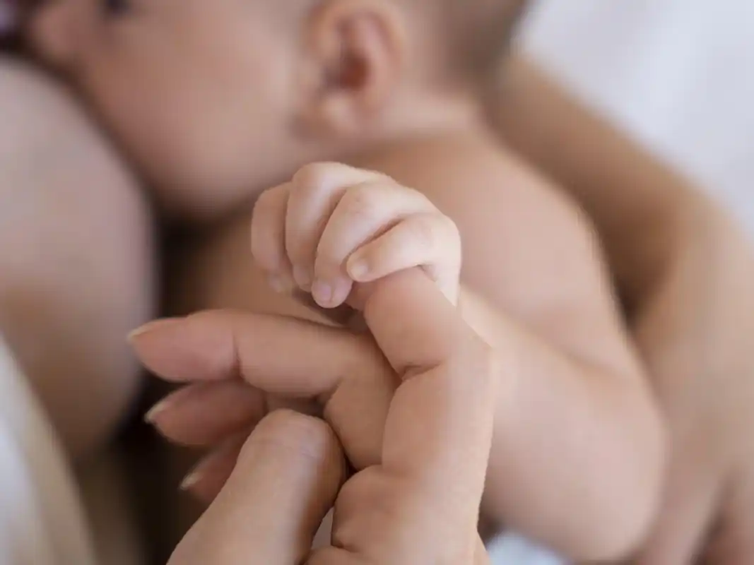 Semana Mundial de la Lactancia: actividades para promover y acompañar a las familias