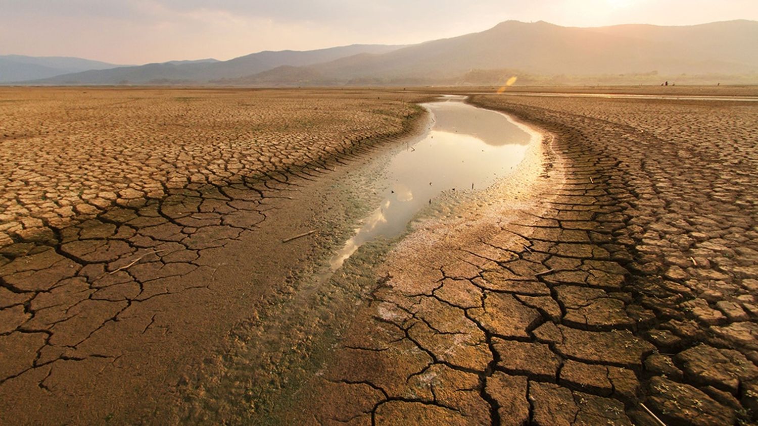 Crisis climática: la temperatura media global superó un nuevo récord