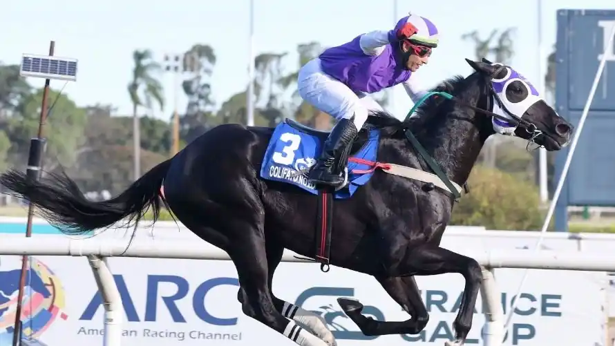 Colifato Novo es la figura del Clásico Southern Halo (G3), en San Isidro.
