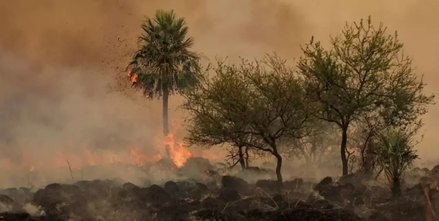 Corrientes: preocupación por la presencia de al menos diez focos de incendios activos 