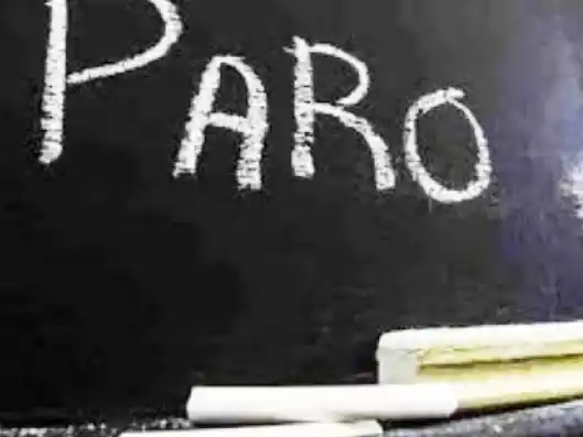 Martes sin clases en Entre Ríos por paro nacional docente