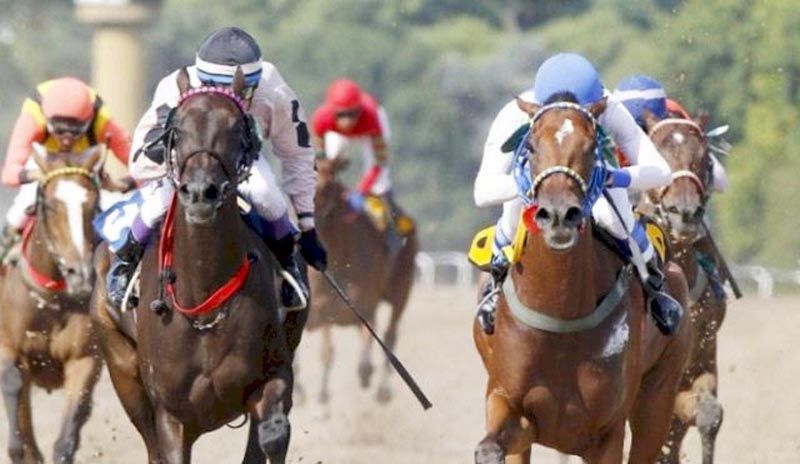 Domingo 16: Actividad Hipódromo de La Plata