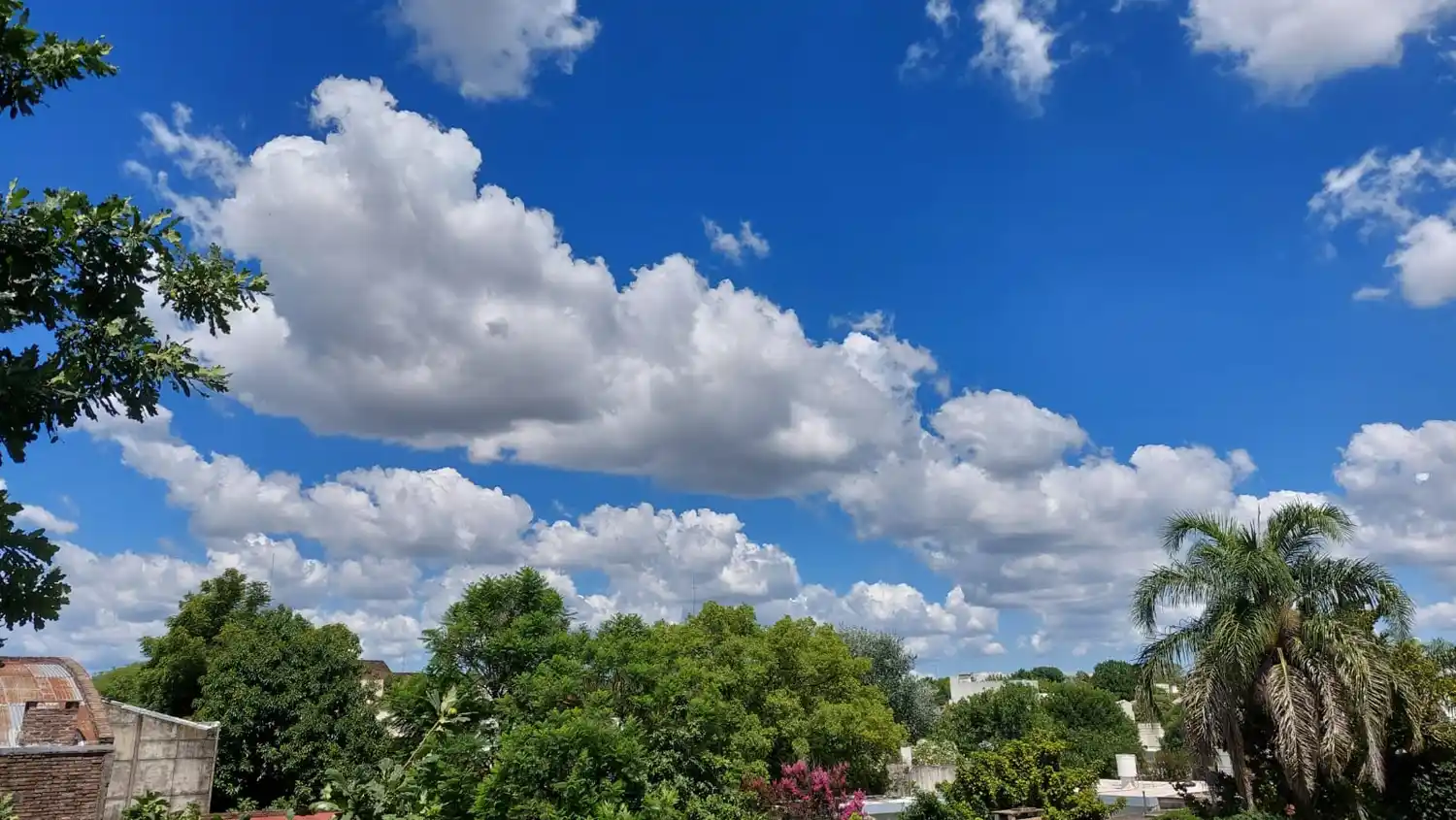 Alerta amarilla por tormentas y temperaturas extremas en toda la provincia