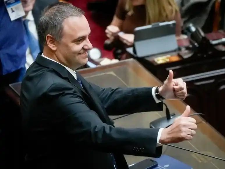 adorni en diputados - 1