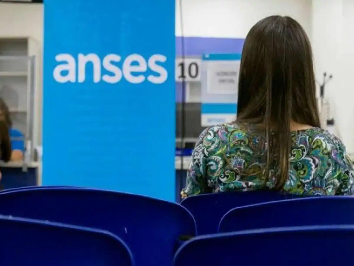 Anses: más de medio millón de personas accedieron al Refuerzo Alimentario