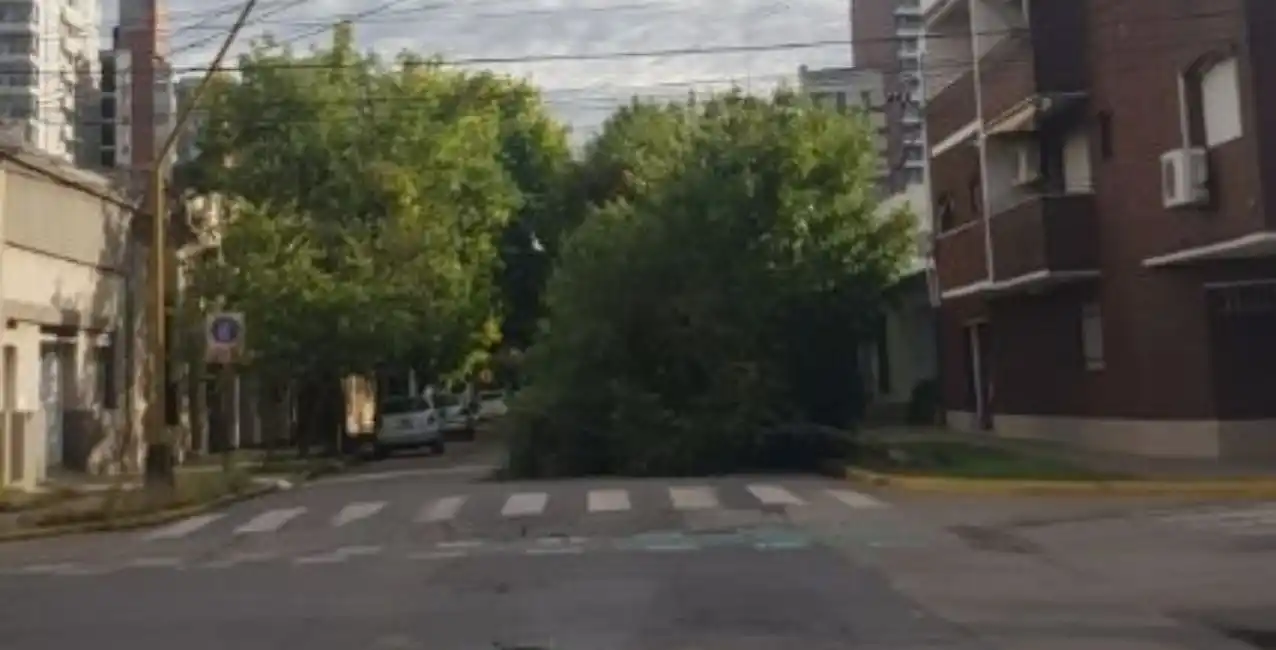 Varios árboles caídos en la ciudad de Santa Fe