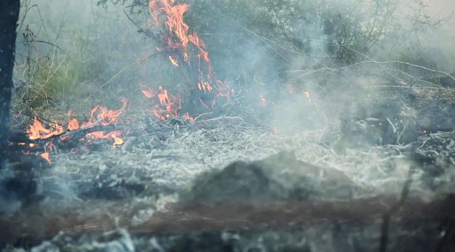 Avanza la organización de la Brigada Forestal Civil