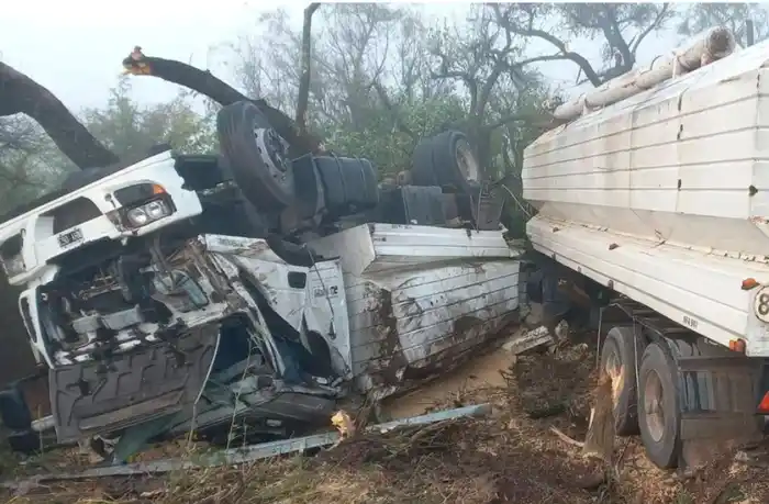 Camión despistó y volcó en ruta 12: el conductor fue hospitalizado