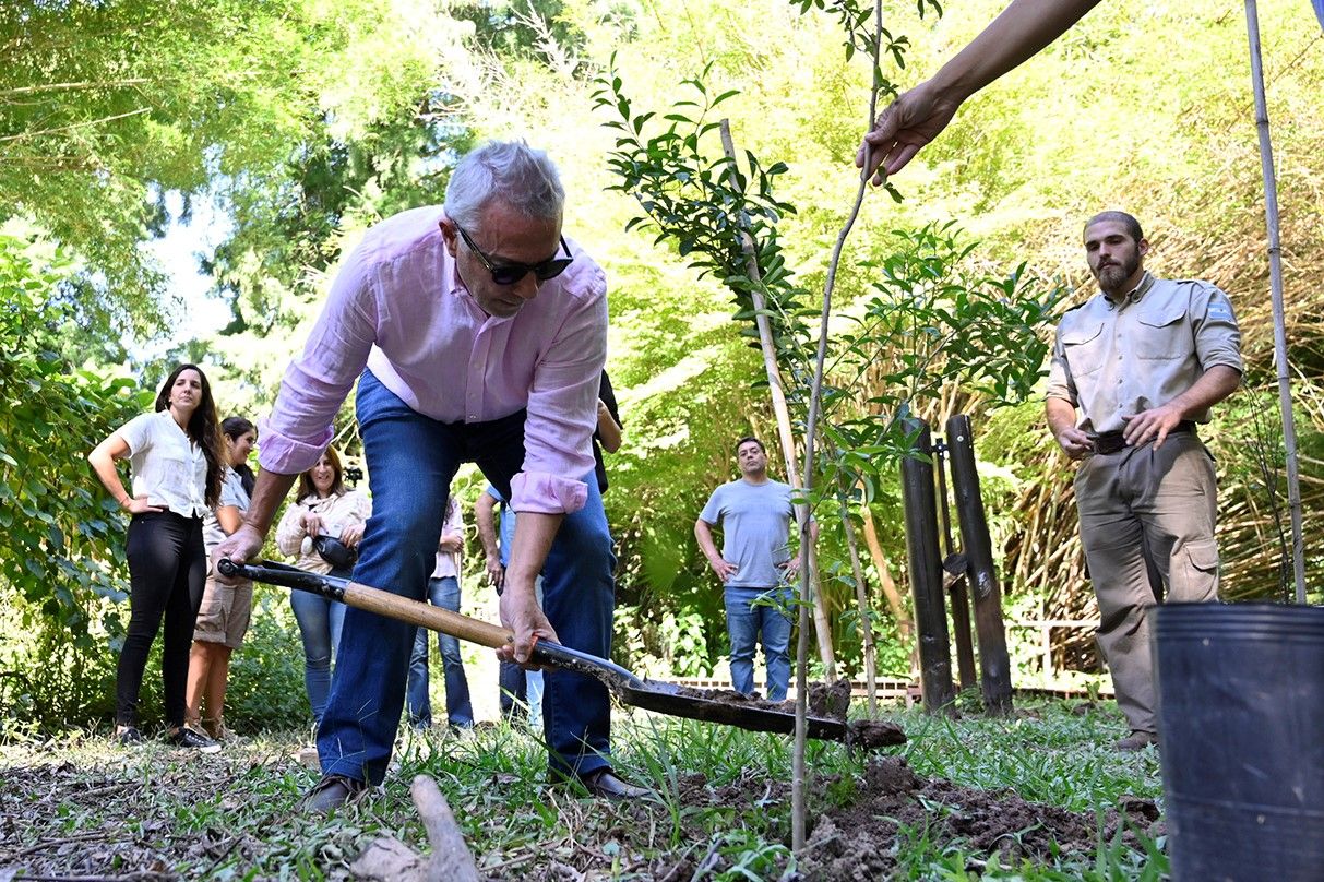 Tigre: Zamora participó de la liberación de especies nativas en "Monte Blanco"