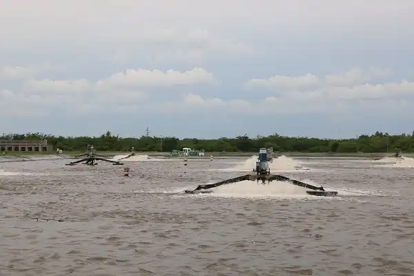 Destacaron las mejoras en la planta de efluentes cloacales