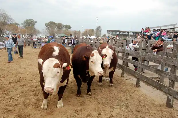 La Banda Policial estará presente en la Expo Sur 