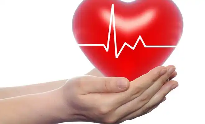 Entrenando al corazón