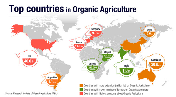 Argentina se posiciona como tercer país con mayor superficie sembrada de productos orgánicos