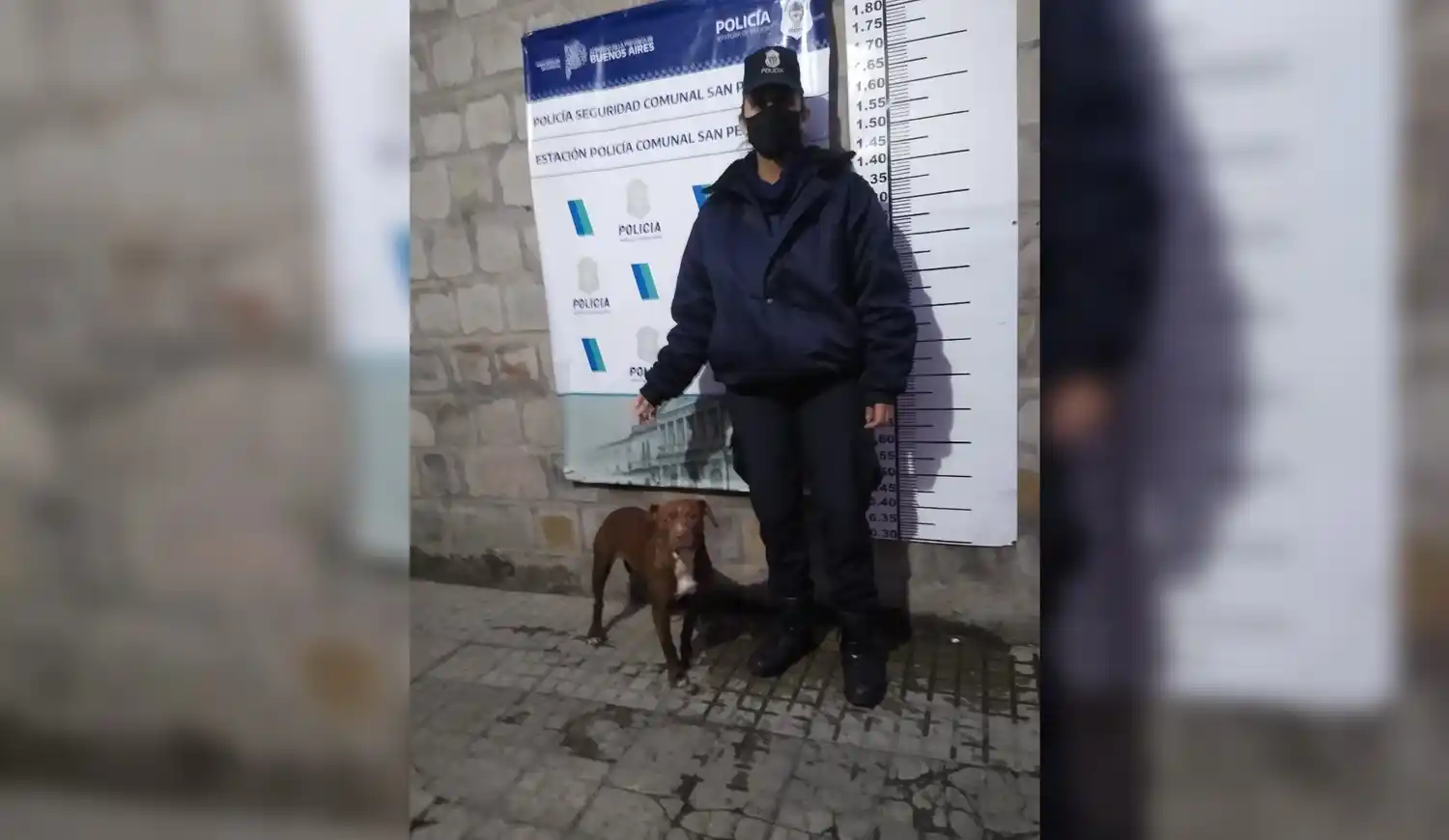 Allanaron asentamiento para recuperar un perro robado