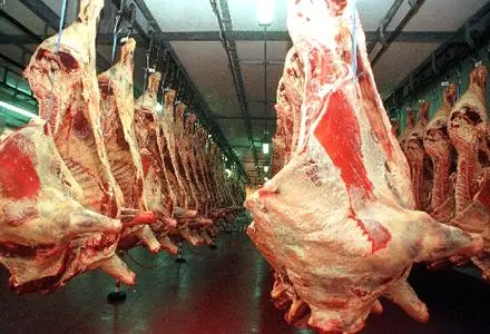 Las exportaciones de carne crecieron 45% en enero