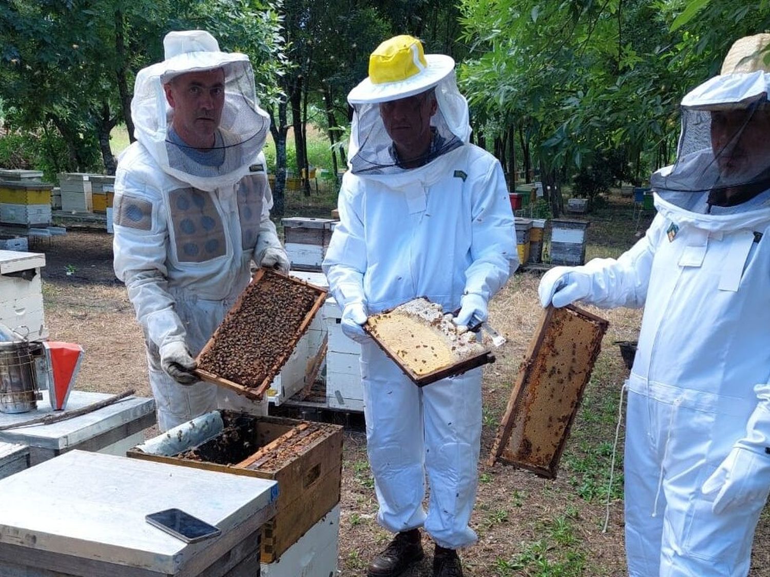 Una familia apicultora de Entre Ríos logró abrir el mercado de abejas reina para Uruguay