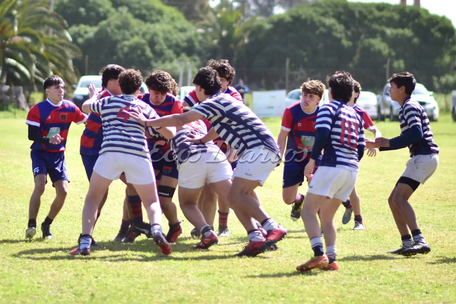 La M15 del Club Náutico