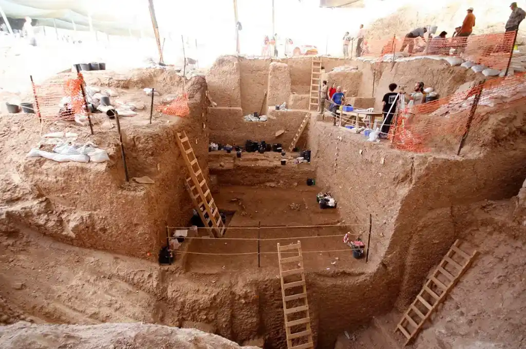 Impactante hallazgo en Israel podría reconfigurar la historia de la evolución humana