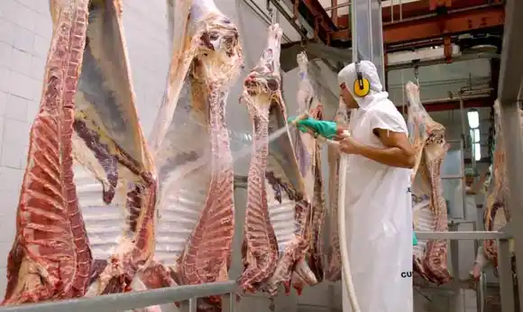 Mercados de carne vacuna: las exportaciones crecieron un 23 % en agosto