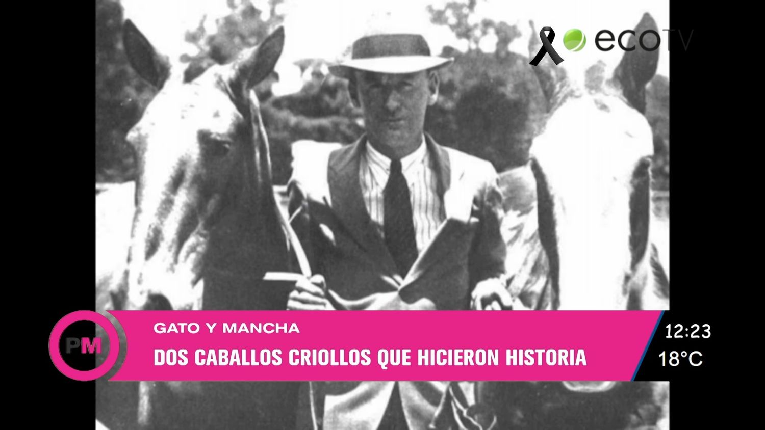 Gato y Mancha, la proeza que cumple 100 años