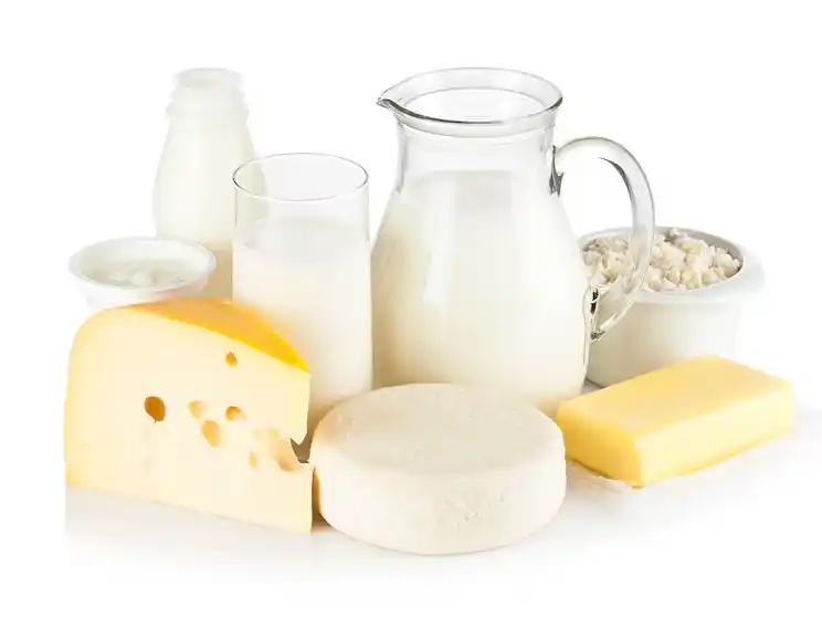 La leche en polvo entera, el suero y la mozzarella lideraron las exportaciones argentinas de lácteos en 2025