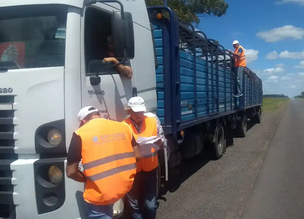 Senasa controló más de 500 transportes en distintas rutas de la Provincia