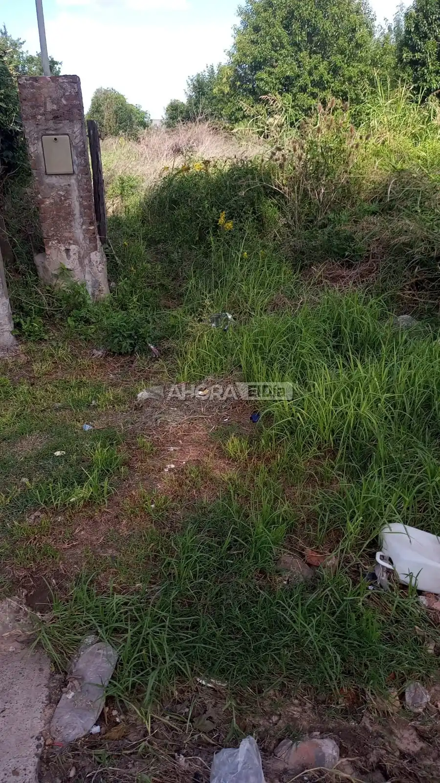 terreno baldio - 3