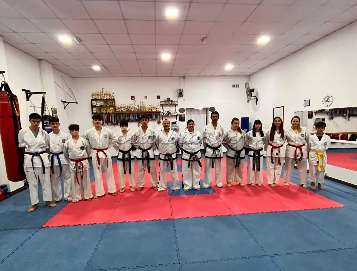 La Integración Provincial de Taekwondo dirá presente en Mar del Plata