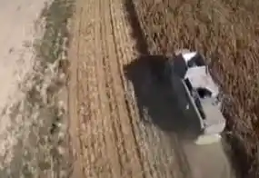 Las lluvias trajeron algo de alivio al campo en Entre Ríos, pero hay zonas todavía críticas