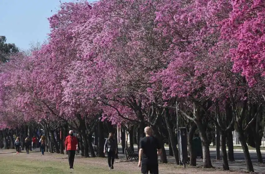 Domingo poco primaveral en Rosario:  fresco en la mañana y templado por la tarde