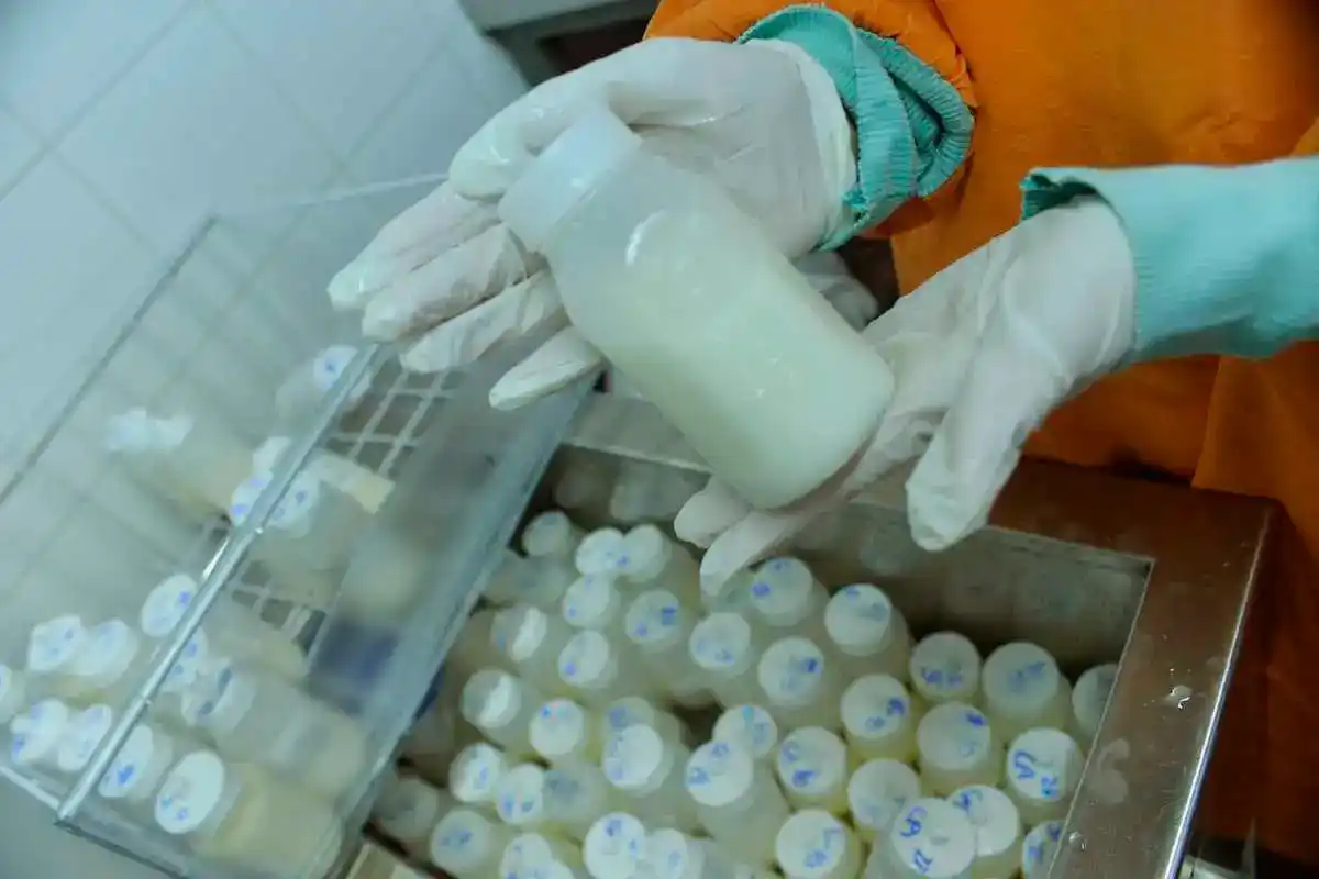 Le ofrecía dinero a mujeres a cambio de leche materna: para los psicólogos, el “vampiro blanco” de Río Negro tiene rasgos de perversidad