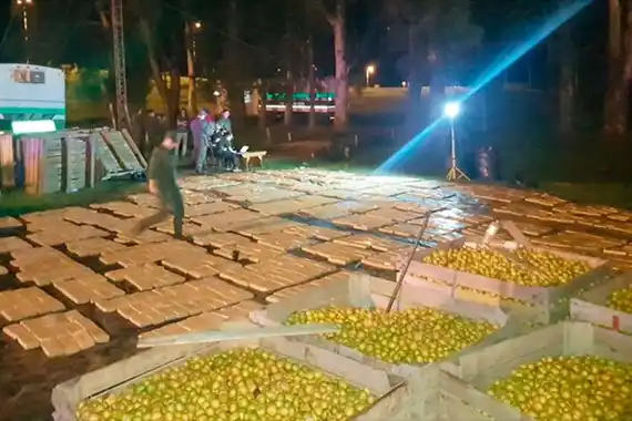 Revelaron cuántos kilos de droga transportaba el camionero detenido en Entre Ríos