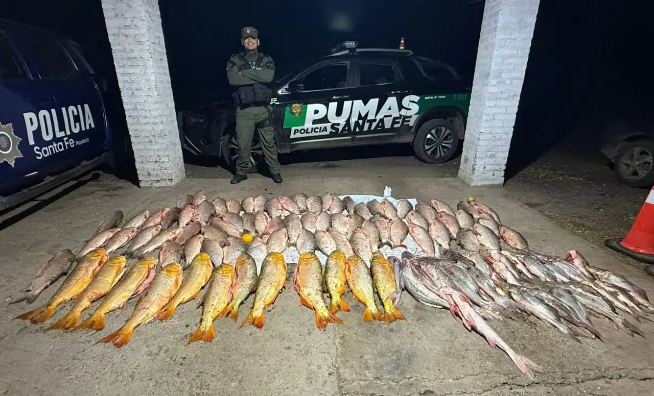 Los Pumas secuestraron más de 100 pescados, productos de la pesca ilegal en zona de islas de la región