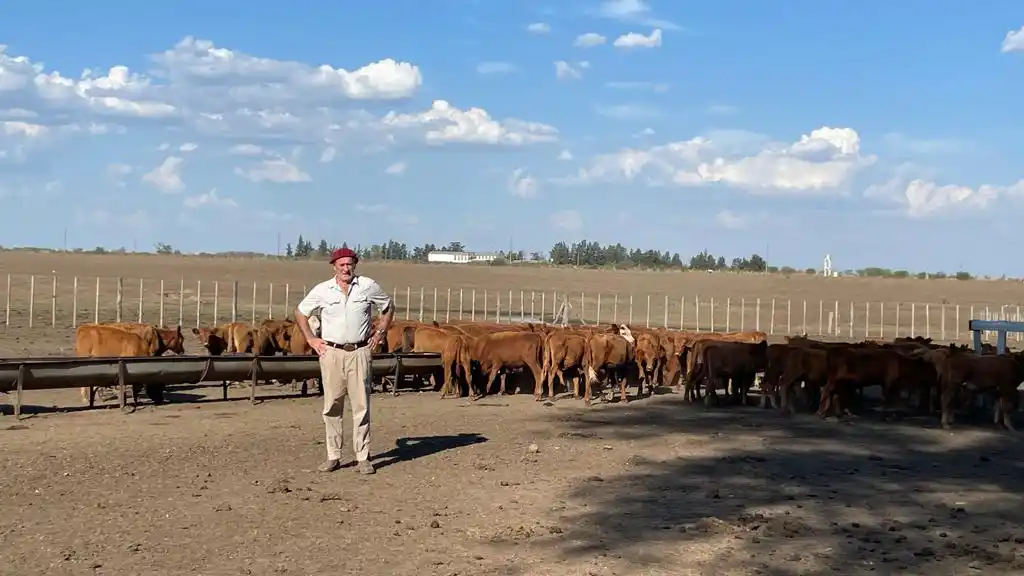 El horizonte de la proteína animal y sus desafíos