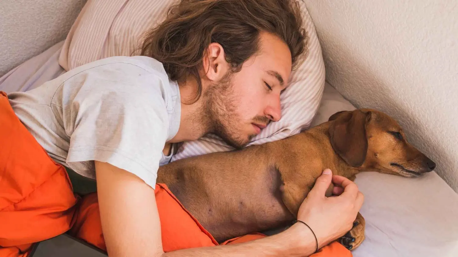 Por qué no conviene humanizar a los perros: hábitos que pueden afectar la convivencia