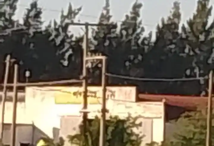 No lograron su cometido y huyeron a pie por el campo. Foto archivo La Opinión.