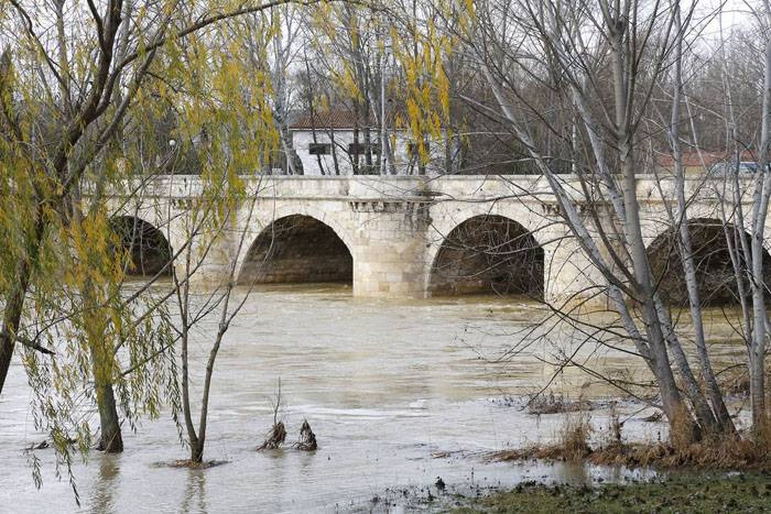 La autopsia del bebé arrojado al río por sus padres reveló detalles estremecedores