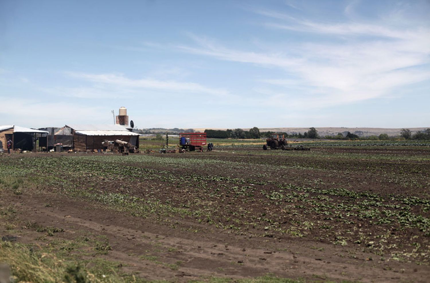Frutihortícolas: "El radar mejorará la efectividad de la producción"