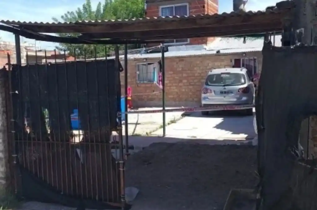 Aprendía a manejar y atropelló a sus tres hijos: uno murió