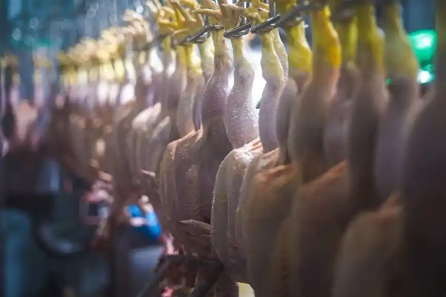 Después de varios meses con resultados positivos, el sector pasó de verde a amarillo.